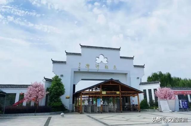 重阳节专属福利 | 陪爸妈游新洲，这些景区门票全免！赏菊、看戏、采摘…赶紧安排！