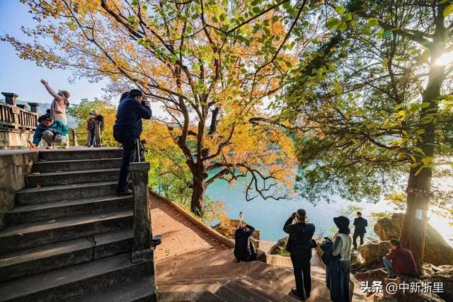 免费！！！浙江秋假优惠福利安排上