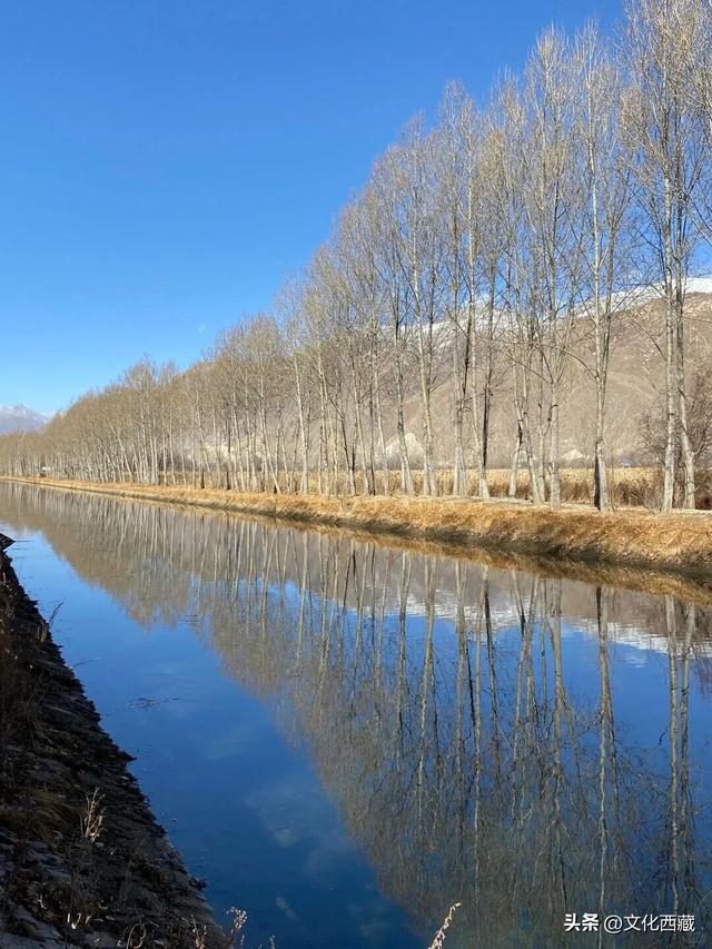 下次有朋友去拉萨，除了布达拉宫，请告诉他一定要逛逛这里