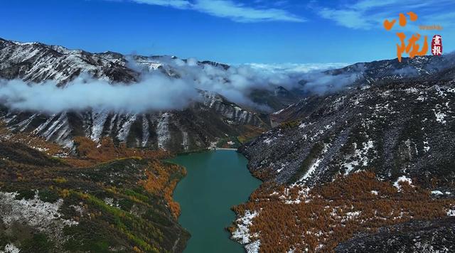 【小陇画报·434期】太子山：深秋画卷与初雪的浪漫邂逅