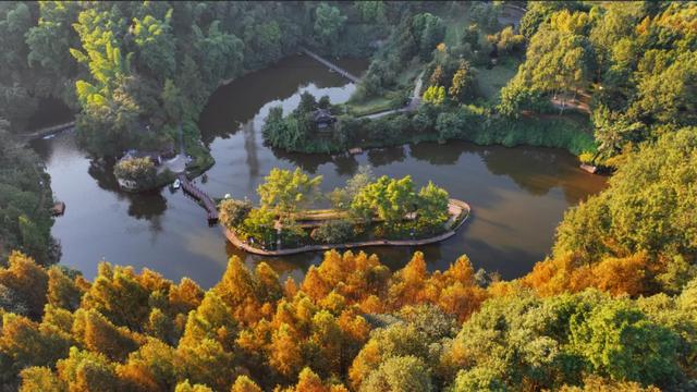 出发！感受两江绝美秋色 邂逅一园烂漫