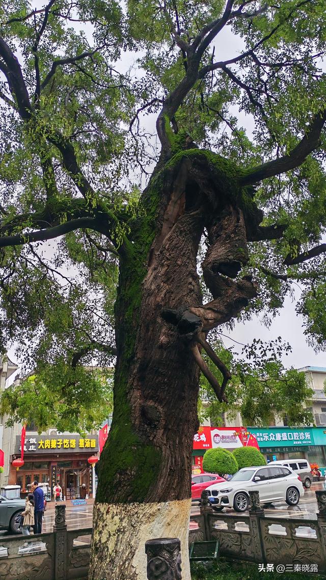 假期里逛蒲城文庙和户县文庙，看看两地有啥不同