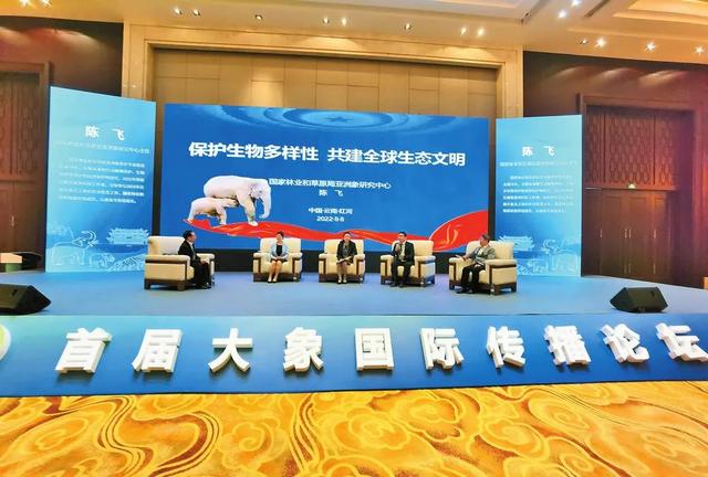 破浪前行，让红河故事走“象”世界