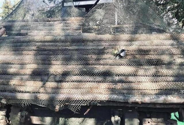 大开眼界！中式反坦克火箭弹被木头拦截，泰军是怎么做到的？