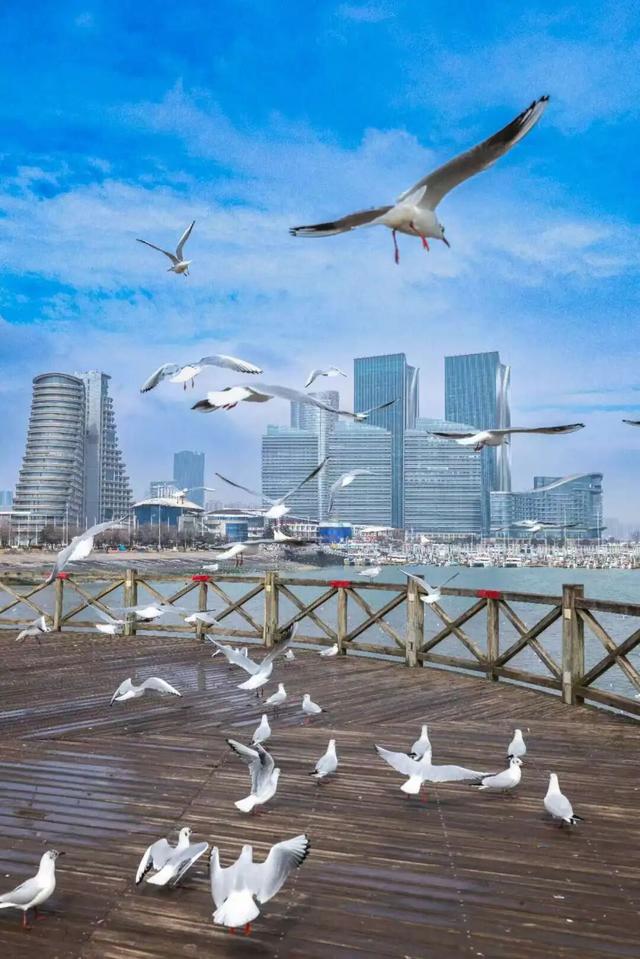 即将进入颜值巅峰！就在日照这些地方！