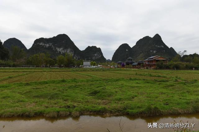 一羽鹅翎划碧落，千峰潜入琉璃渊--探寻广西鹅泉，德天瀑布的源头
