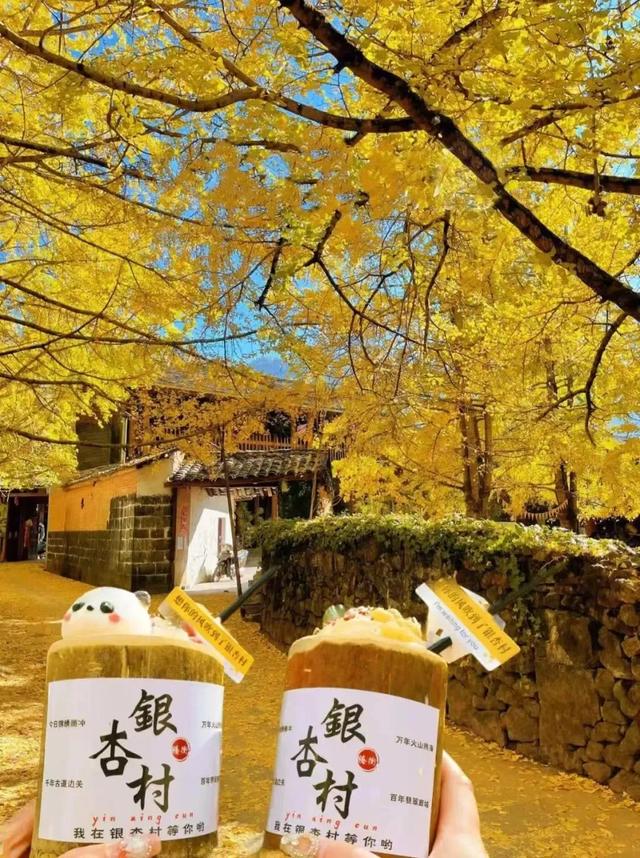 8月避暑出行，云南这座小城一定要去！均温23℃，清凉又舒服！