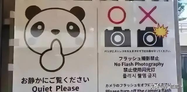 继德国之后，英国也贴“中文标语”？中国游客：区别对待难以接受