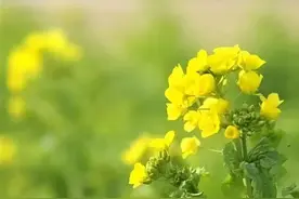 男女交往中，正缘相遇的明显表现：生理性喜欢图片