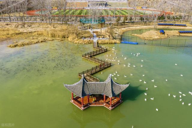 生态画卷徐徐展开，你能认出这是山西什么地方？