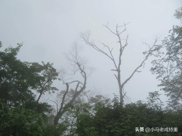 绵阳千佛山爬山笔记