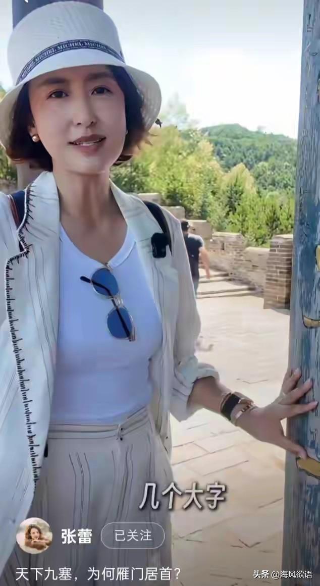 张蕾一身素白走雁门关古道，城砖上的刻痕，竟全是历史干货