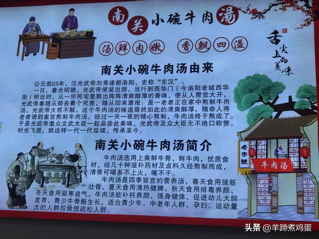 做几天洛阳人——游河南洛阳赏牡丹芬芳 总体概述(四)
