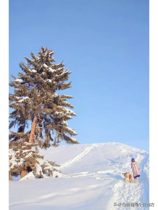 去小红书点名的新疆粉雪童话世界，短逃离~