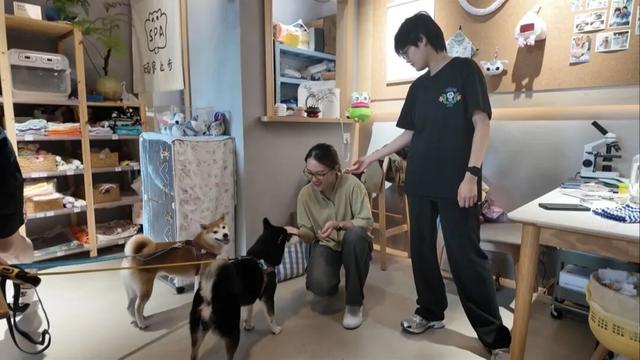 花鸟市场回来啦！来这个烟火气“新据点”，拥抱自然治愈~| 虹口嗲地方 老底子新腔调