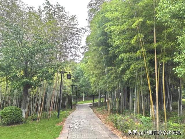 乐山乐水，顺风顺水