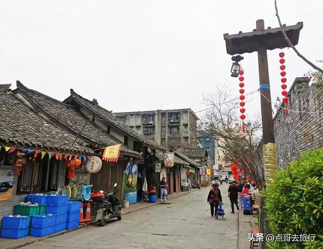 成都近郊最大规模红枫来了，被严重冷落，不要门票，古镇美食诱人