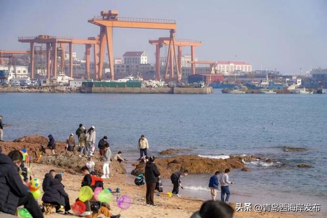 “鸥”耶！西海岸来了一批“老朋友”！