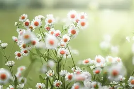 交往女生发“嗯嗯”是什么意思，男性要懂得图片