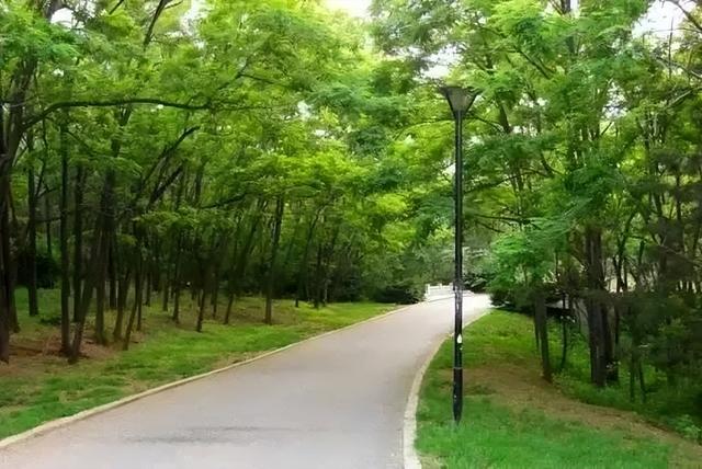 金普山色“杠杠好”，重阳攀登“步步高”