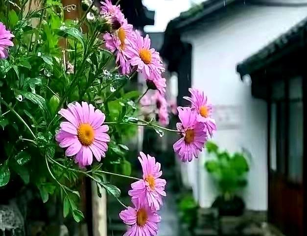 两性当你接触的女人多了之后，会发现：女人的“味道”各有不同