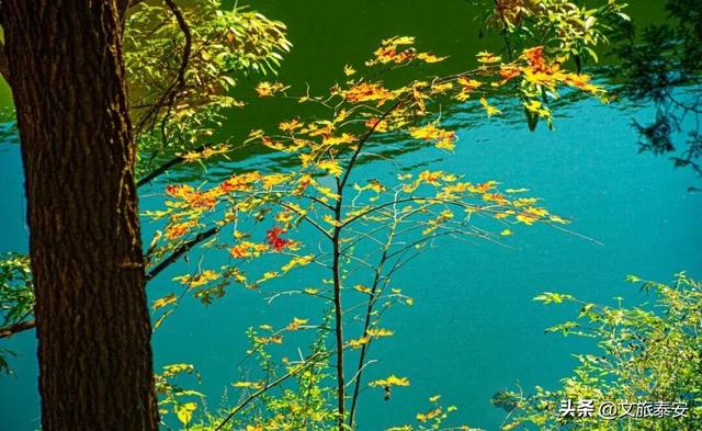 千万别在秋天来泰安，不然真的很难戒断