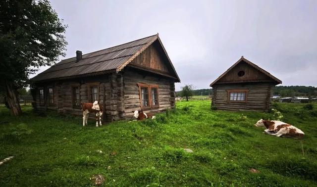 回顾“十四五”展望“十五五”系列报道之三 额尔古纳：以“文”塑旅 绘就全域新画卷