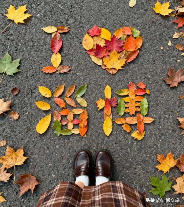 🤏捡捡捡，淄博惊现“捡秋”大神！海岱楼、周村大街…全被捡出来了→