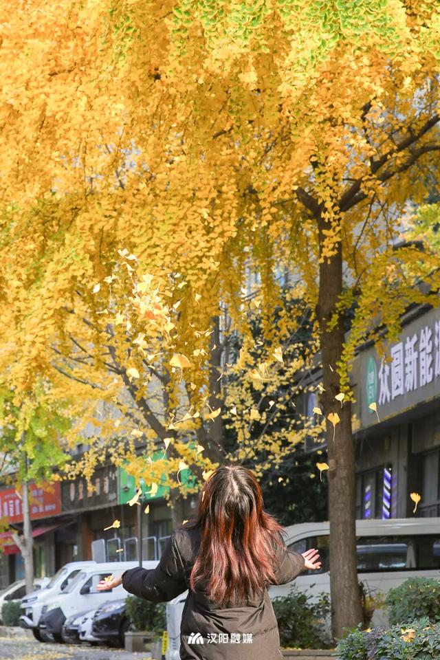 最后的金色狂欢！汉阳这三处私藏地一般人不知道→