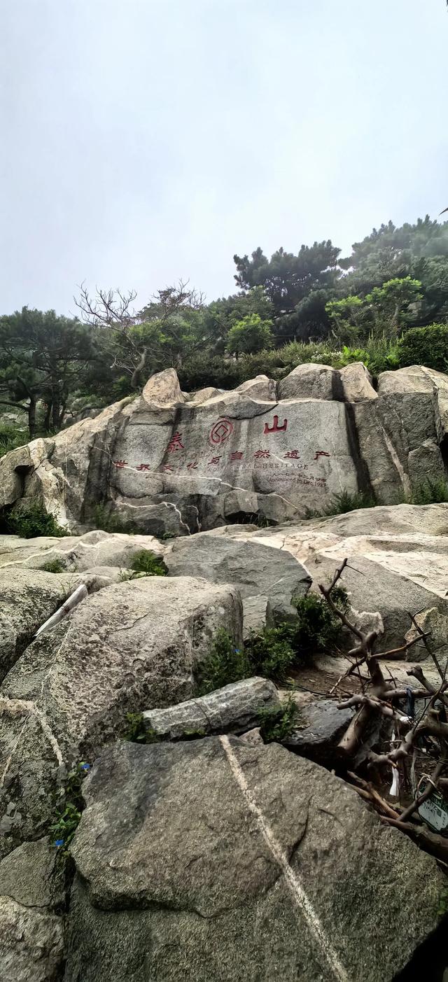 岱宗夫如何：看山不只是山