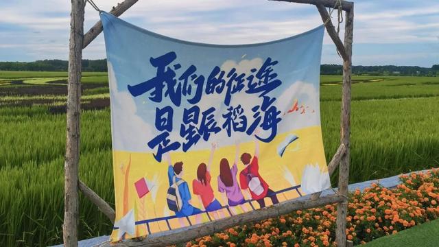 闫家岗的稻田会画画：带老妈打卡哈尔滨新地标