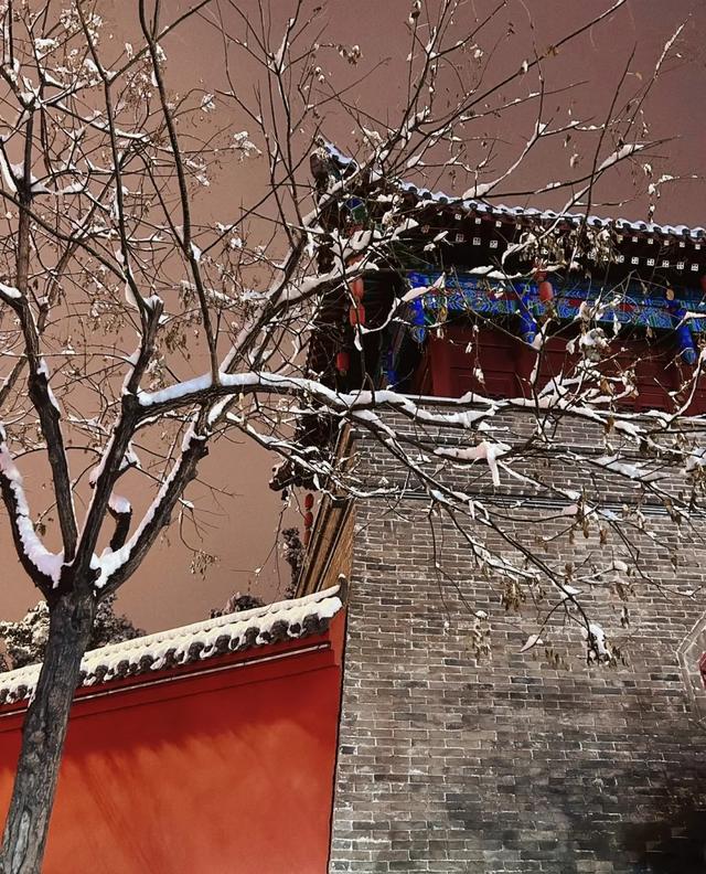 即将下雪！雪后的洛阳这么拍！8个超美打卡点...