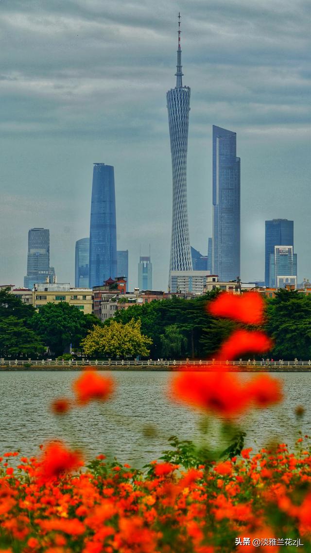 海珠湖公园秋日浪漫盛景