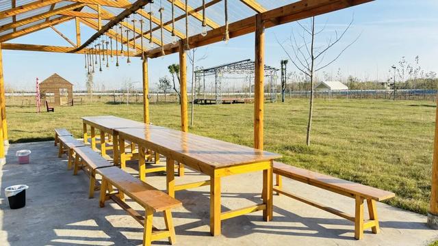 襄城新晋遛娃宝地，围炉煮茶＋采摘，现有套餐免费赠送