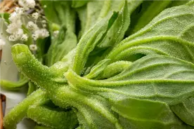 钾含量是香蕉的7倍！这种蔬菜抗炎、抗氧化、保护心血管健康图片