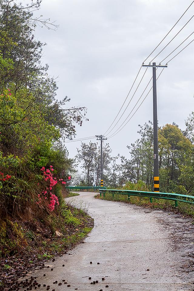 烟雨大别山，醉美望天村