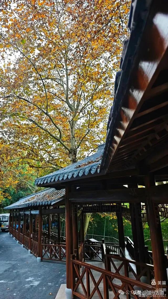 浙处丹霞地貌秋色斑斓超壮观,秋日必打卡之地!