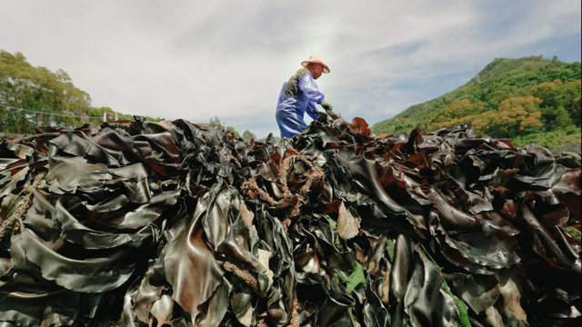 一秒心动，每一帧都是壁纸！《浒上日生》福建省霞浦县下浒镇宣传片重磅上线！