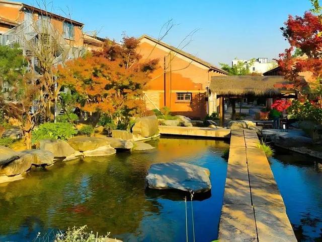 文化巴士发车！6条惠民专线180个免费名额带您深度打卡运博会