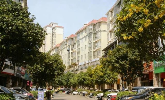 让整个柳江都“上头”的初冬味道，源头在这里