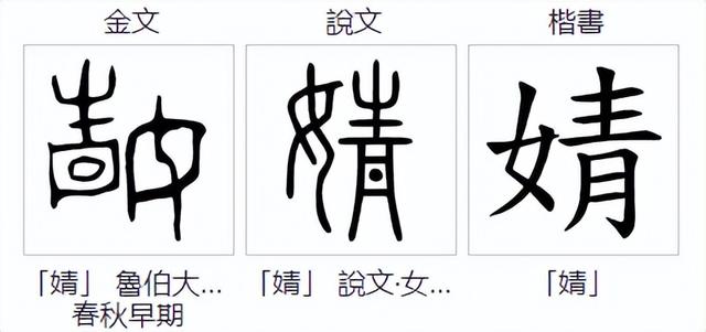 婧：不读qīng，也不读qíng，那到底该读什么呀？