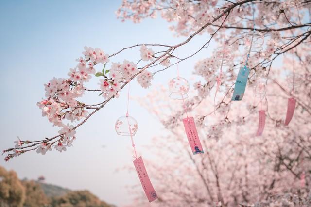 聪明的女人，发现男人不爱自己时，会这样处理