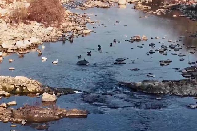 图集丨黄前镇：初冬美景正当时