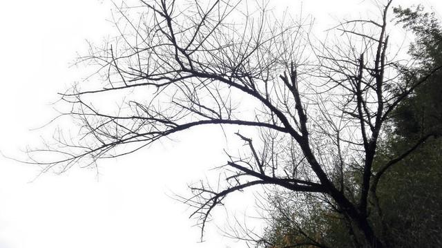 人到中年	，最怕的不是失败，是忽然看清自己