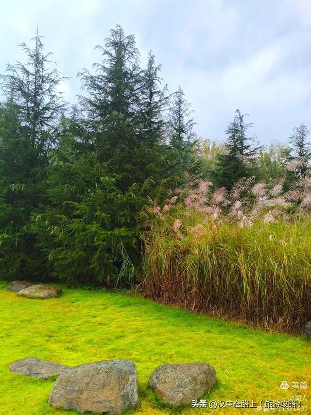 秋雨中的汉中湿地