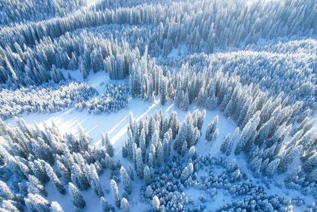 去赏雪，东北和新疆怎么选？速看！