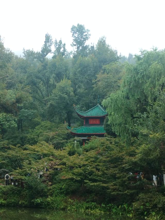 湘粤赣之旅（九）：长沙橘子洲·爱晚亭记