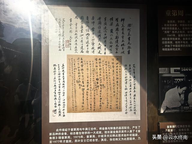 “万里长江第一古镇”，不但有好吃好玩的，还曾撑起中国半壁文脉