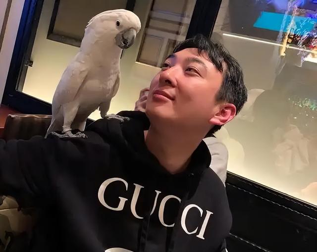 钱再多有什么用？儿子败家女儿抑郁，67岁赵本山为所有人提了醒