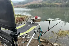 揭秘饵料使用中的5大致命失误，看完别再当“空军”图片